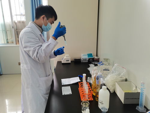 横县市场监管局全力护航重大会议顺利召开，环保工程助力绿色发展